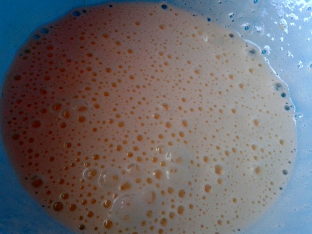 Marhuľové rezy (fotorecept) - obrázok 1