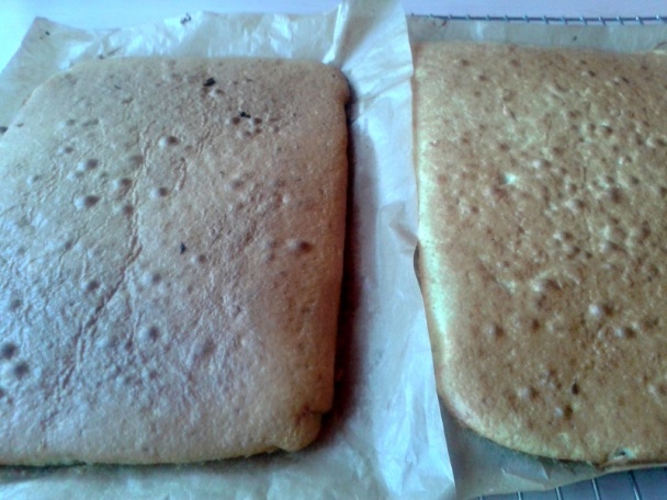 Marhuľové rezy (fotorecept) - obrázok 3