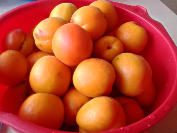 Marhuľové rezy (fotorecept) - obrázok 4