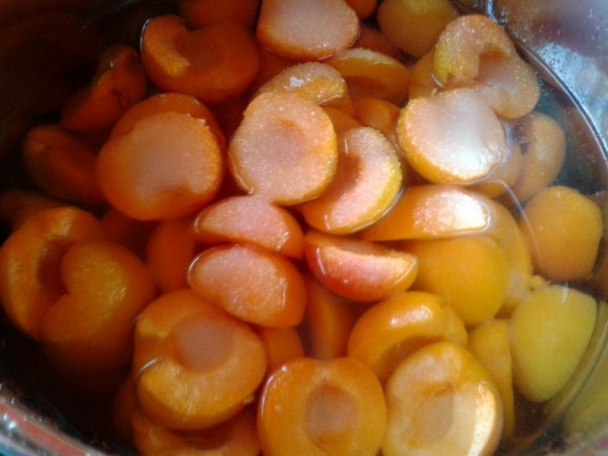 Marhuľové rezy (fotorecept) - obrázok 6