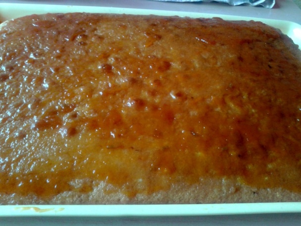 Marhuľové rezy (fotorecept) - obrázok 10