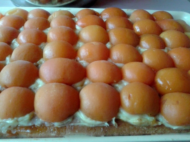 Marhuľové rezy (fotorecept) - obrázok 12