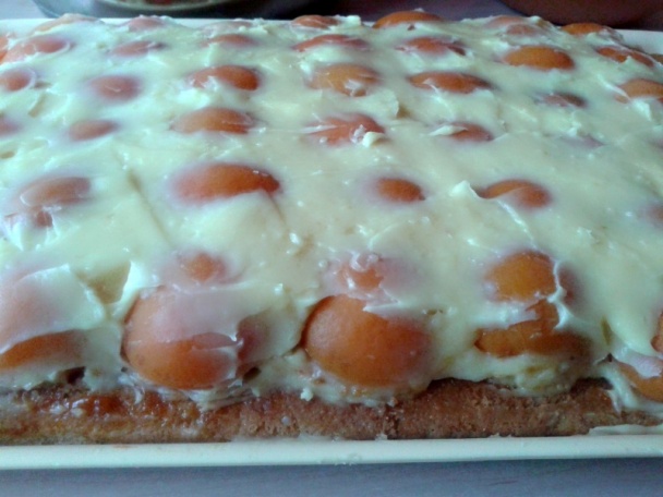 Marhuľové rezy (fotorecept) - obrázok 13