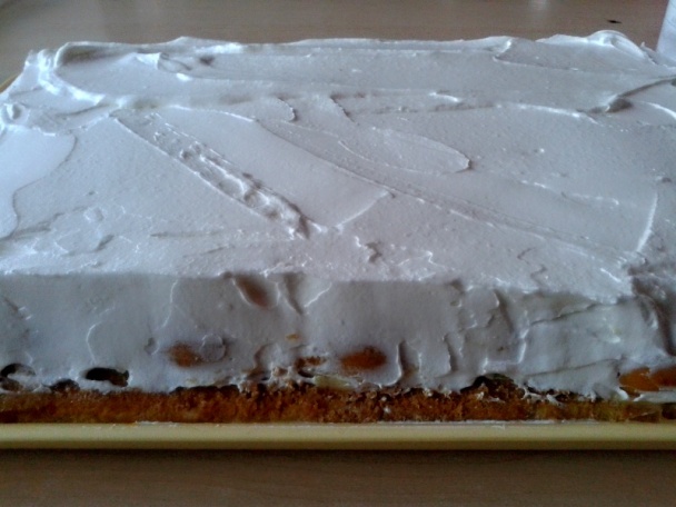 Marhuľové rezy (fotorecept) - obrázok 14