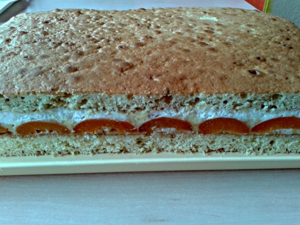 Marhuľové rezy (fotorecept) - obrázok 15