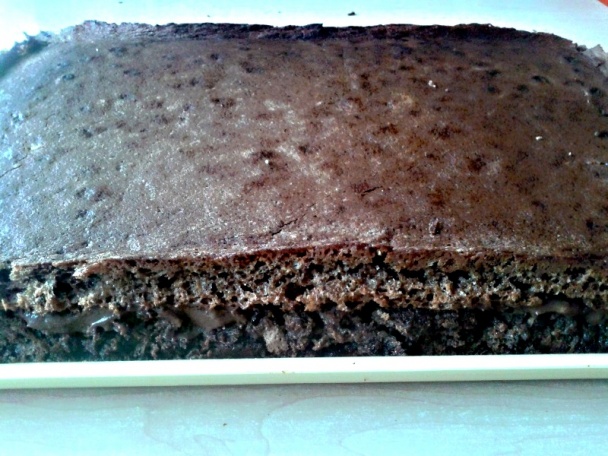 Barack Obama rezy (fotorecept) - obrázok 8