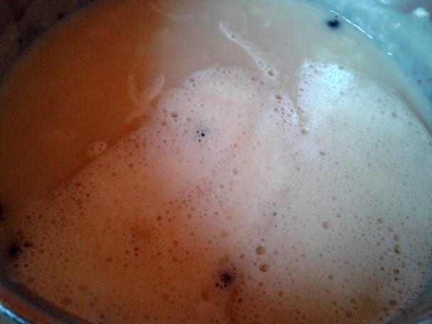 Prívarok z vylúskanej čerstvej fazule s údeninou (fotorecept) - obrázok 4