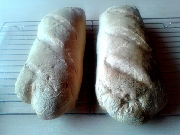 Cukina v šunkovo-kukuricovom cestíčku (fotorecept) - obrázok 10