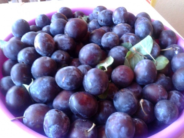 Slivkovo-kávový džem s Fernetom (fotorecept) - obrázok 1