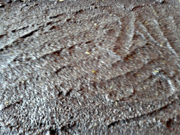 Krehké makovo-višňové koláče (fotorecept) - obrázok 9