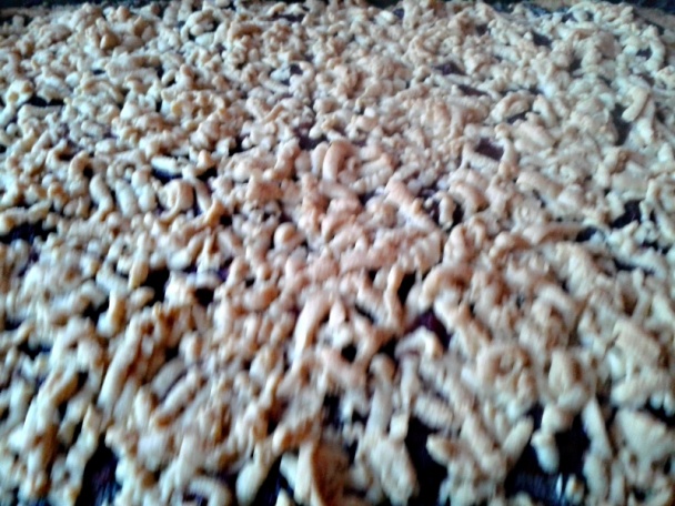 Krehké makovo-višňové koláče (fotorecept) - obrázok 12