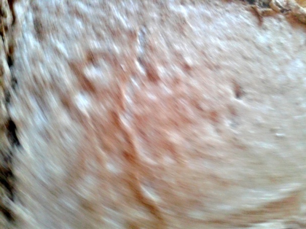 Sikulské rezy (fotorecept) - obrázok 5