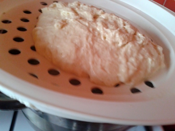 Švábska trasenica (fotorecept) - obrázok 4