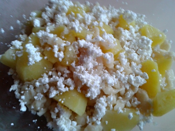 Švábska trasenica (fotorecept) - obrázok 6