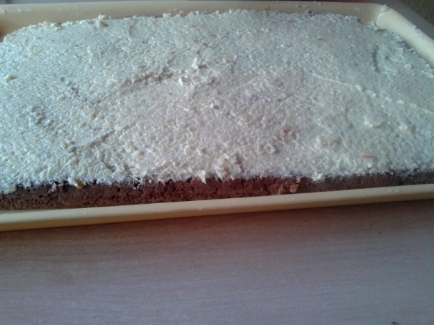 Anglické rezy (fotorecept) - obrázok 6