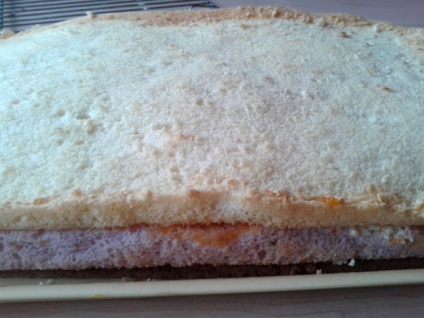 Anglické rezy (fotorecept) - obrázok 9