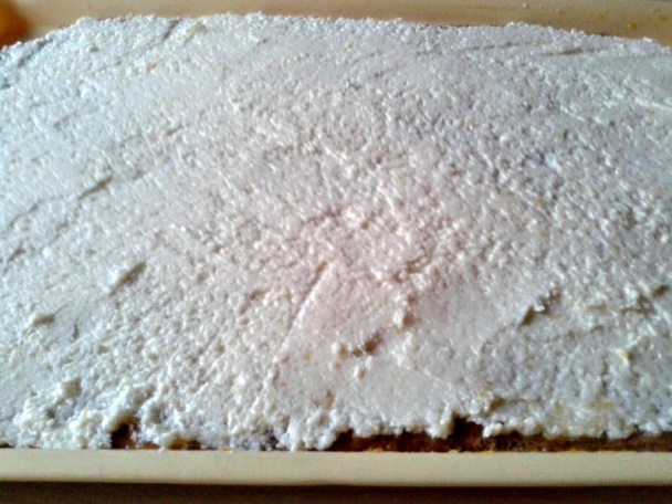 Medové rezy s kokosovým krémom (fotorecept) - obrázok 8