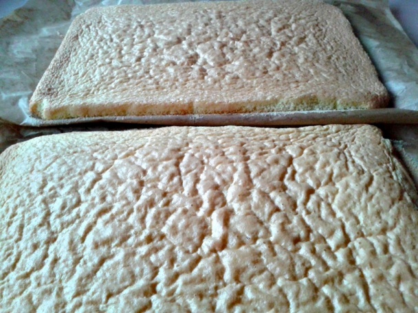 Lučenské rezy (fotorecept) - obrázok 3