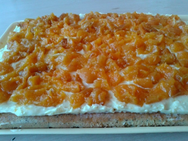 Makový sen (fotorecept) - obrázok 7