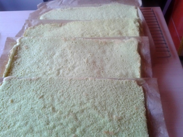 Zelené rezy (fotorecept) - obrázok 2