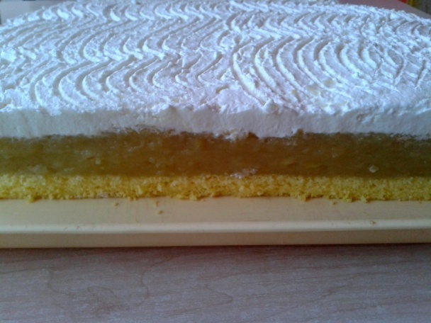 Jablkové rezy (fotorecept) - obrázok 9