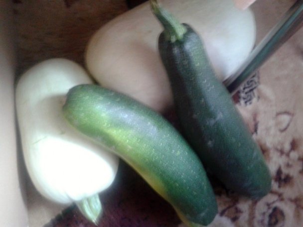 Tekvicové halušky s tvarohom, cibuľkou a slaninou (fotorecept) - obrázok 1