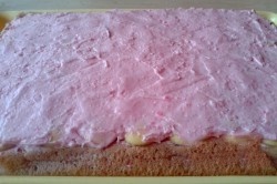 Ružový sen (fotorecept) - obrázok 6