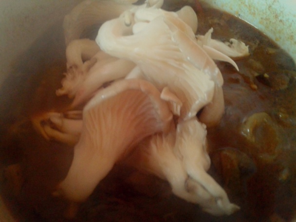 Morčacie srdiečka s hlivou na smotane so zemiakovou knedľou (fotorecept) - obrázok 8