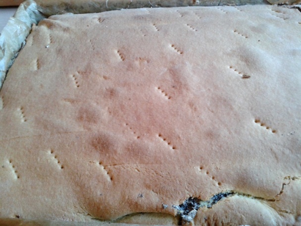 Makové okaté rezy (fotorecept) - obrázok 11