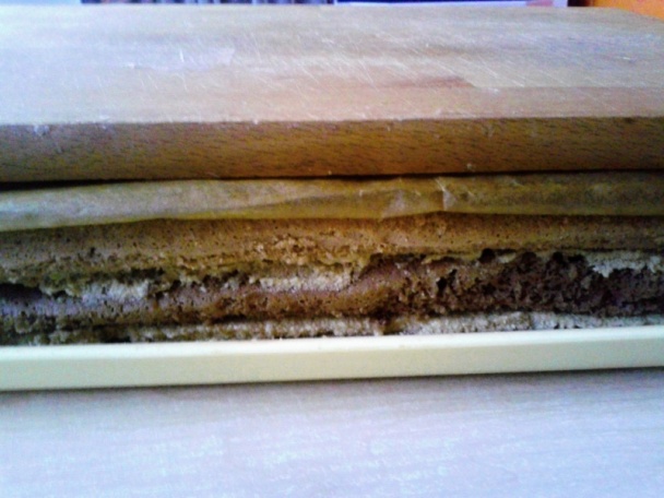 Amadine (fotorecept) - obrázok 11