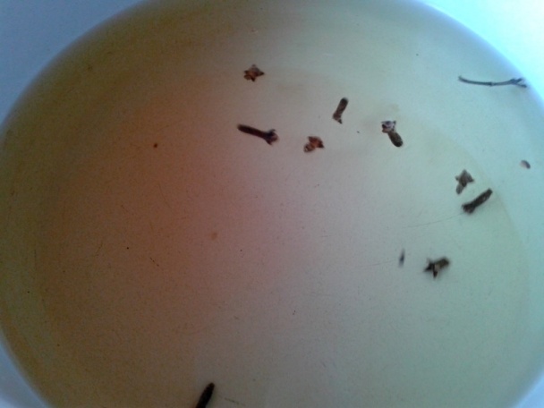 Medovníkové rezy s vínovým krémom (fotorecept) - obrázok 7