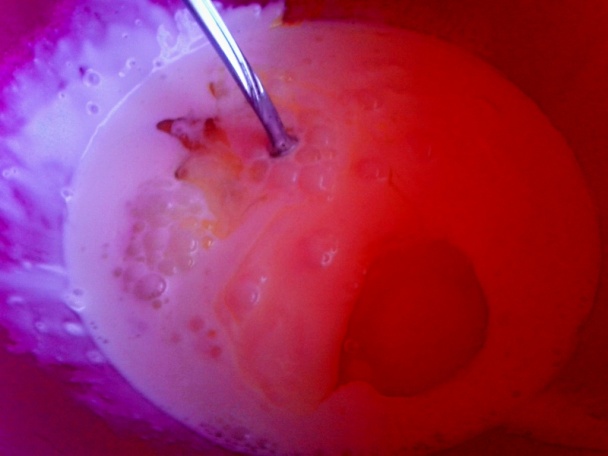 Koložvárska prekladaná kapusta z troch druhov mäsa (fotorecept) - obrázok 9