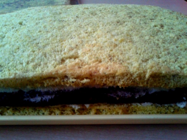 Trio rezy (fotorecept) - obrázok 11