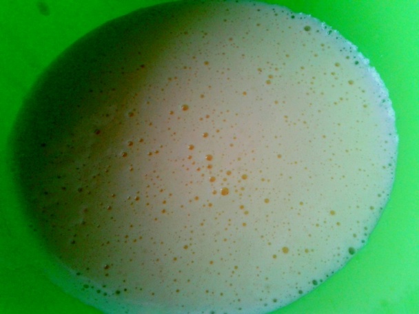 Orechová roláda s mandarínkami (fotorecept) - obrázok 1