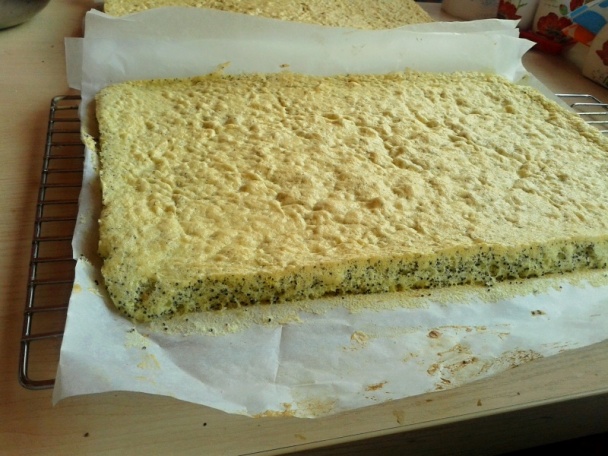 Makové rezy s vanilkovo-čokoládovým krémom (fotorecept) - obrázok 3