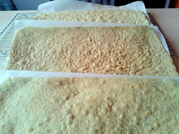 Makové rezy s vanilkovo-čokoládovým krémom (fotorecept) - obrázok 4