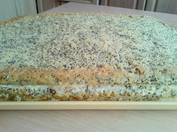 Makové rezy s vanilkovo-čokoládovým krémom (fotorecept) - obrázok 12