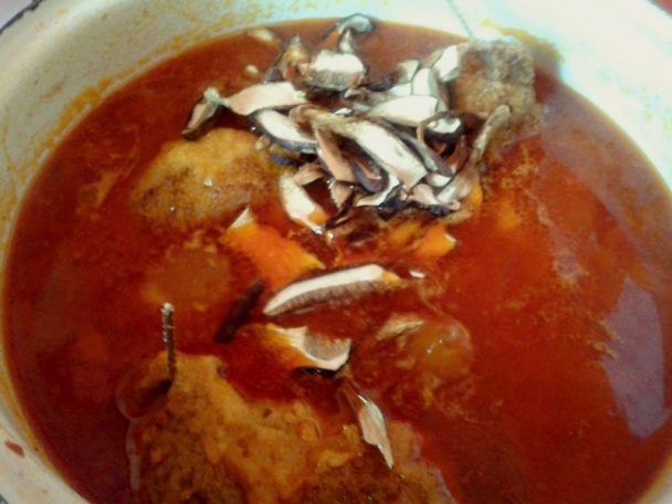 Španielsky vtáčik na hríboch (fotorecept) - obrázok 10