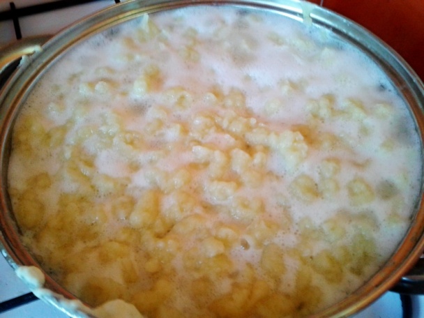 Hliva ustricová na červenom víne s oreganom (fotorecept) - obrázok 11