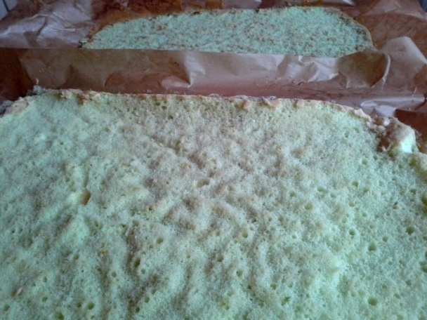 Veselé rezy (fotorecept) - obrázok 4