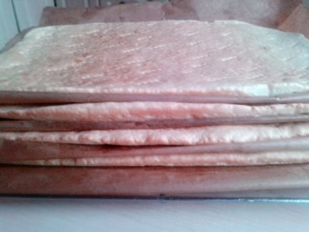 Holandské rezy (fotorecept) - obrázok 6