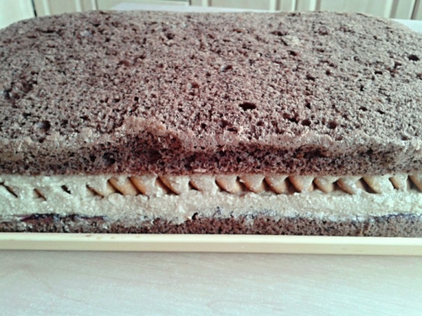 Cappuccino rezy (fotorecept) - obrázok 13