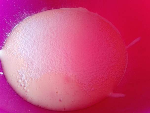 Tvarohovo-pomarančové rezy so šľahačkou (fotorecept) - obrázok 1