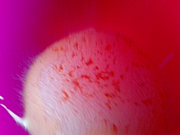 Tvarohovo-pomarančové rezy so šľahačkou (fotorecept) - obrázok 2