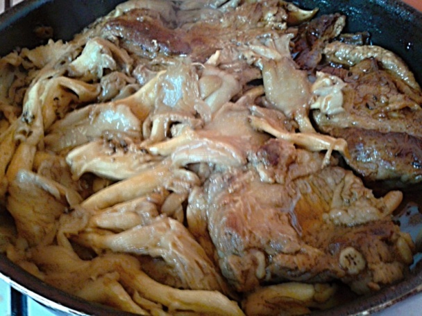 Bravčové rebrá na červenom víne s hlivou (fotorecept) - obrázok 6