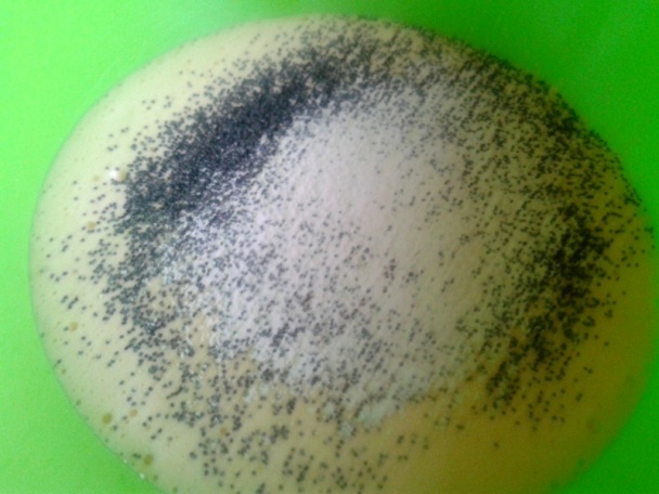 Makovo-piškótové rezy (fotorecept) - obrázok 2