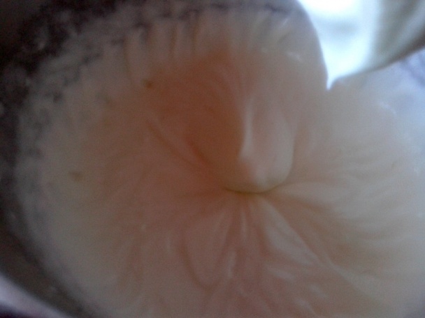 Jahodové piškótové omeletky (fotorecept) - obrázok 7