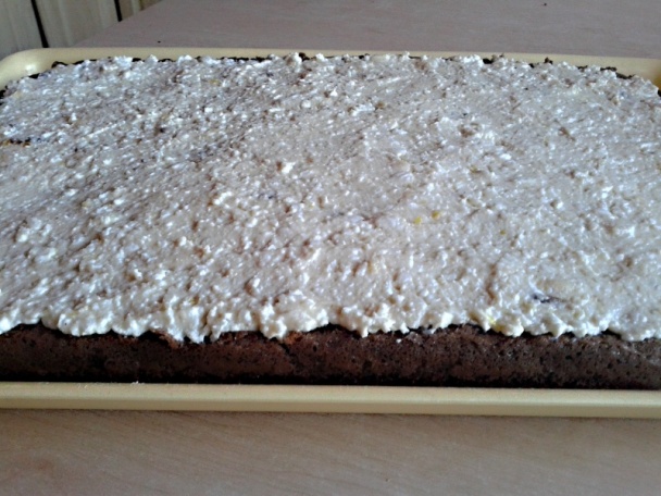 Marhuľové rezy s tvarohovo-mascarpone krémom a šľahačkou (fotorecept) - obrázok 12