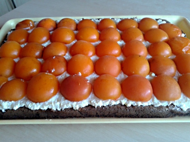 Marhuľové rezy s tvarohovo-mascarpone krémom a šľahačkou (fotorecept) - obrázok 13