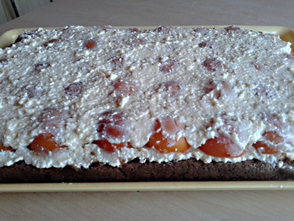Marhuľové rezy s tvarohovo-mascarpone krémom a šľahačkou (fotorecept) - obrázok 14